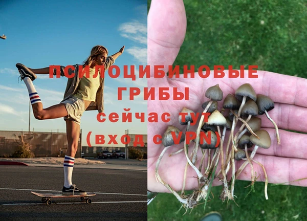 2c-b Алексеевка