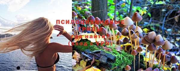 винт Алексин