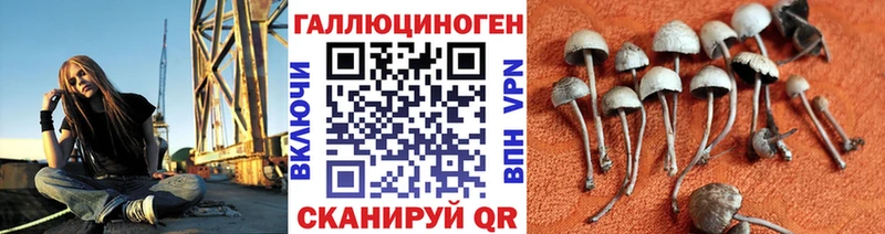 Псилоцибиновые грибы MAGIC MUSHROOMS  Салехард 
